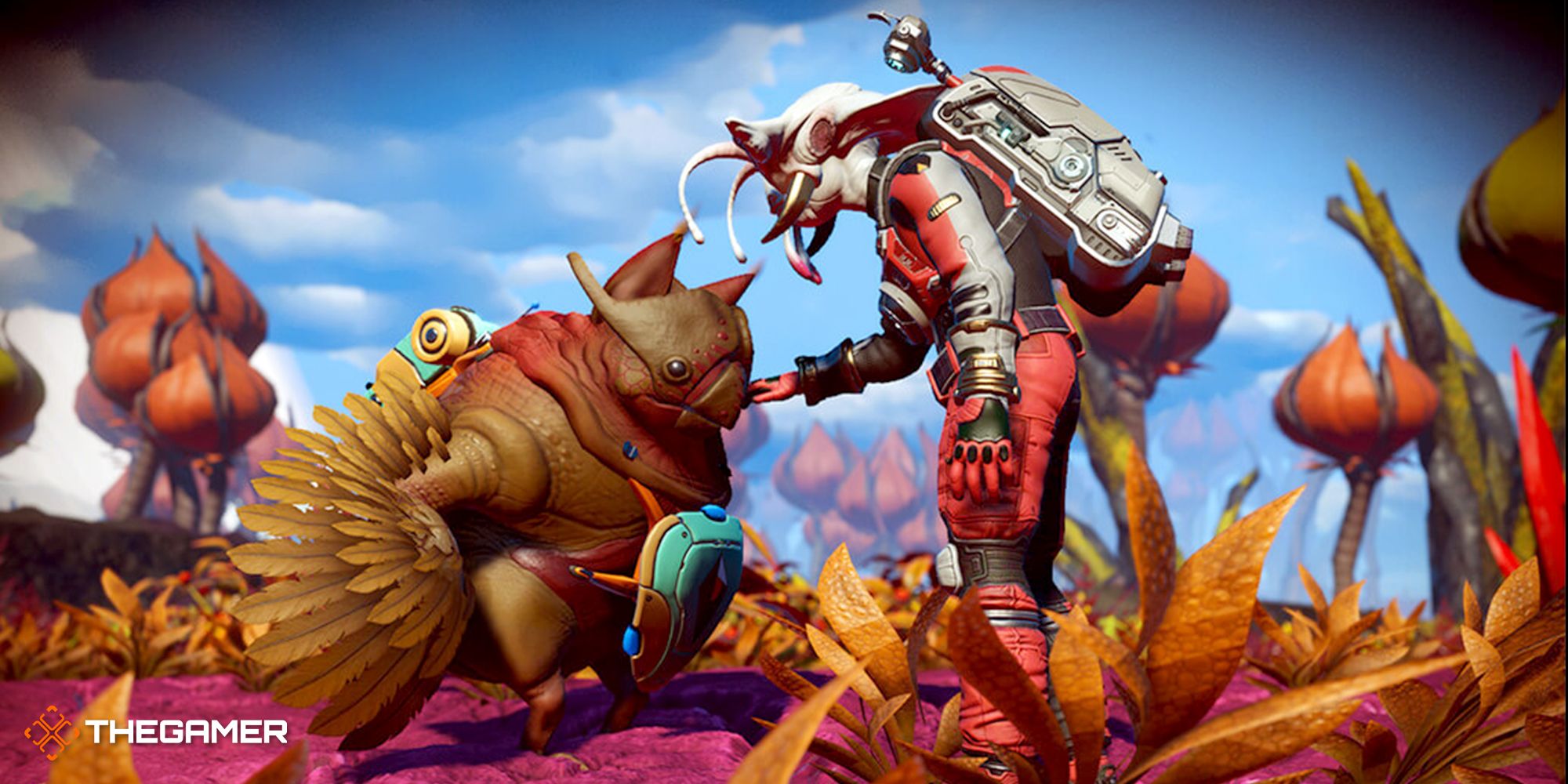 Everything To Know About Companions In No Man's Sky