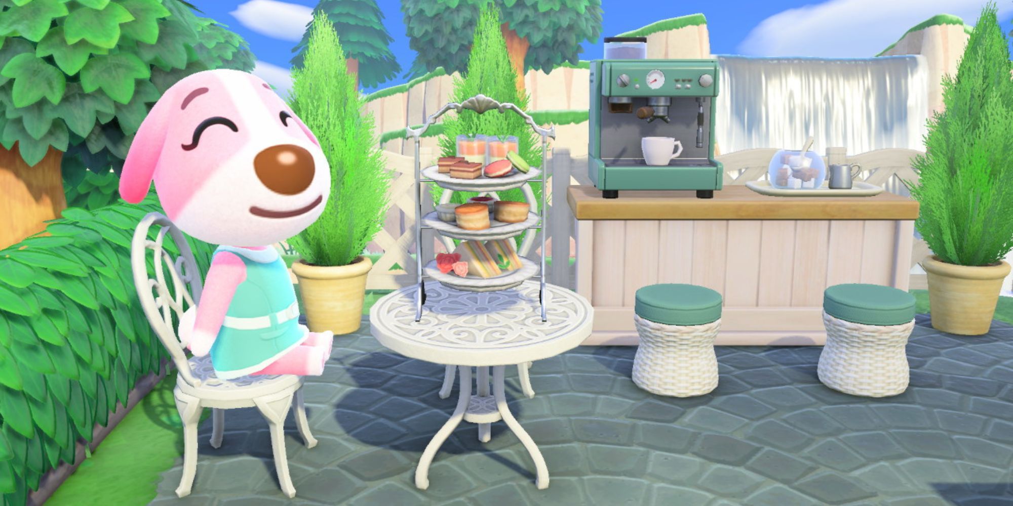 Cookie sits outside beside a table with treats on it