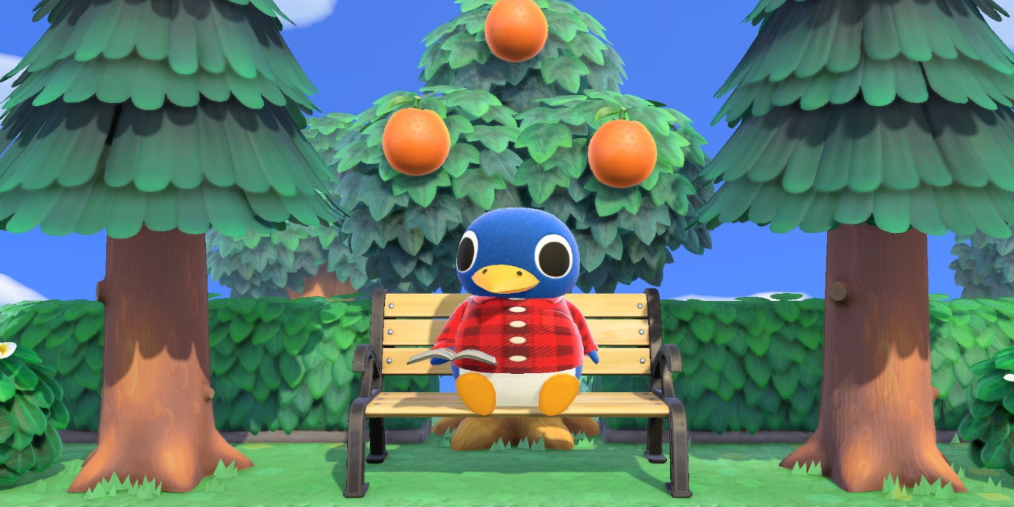 Roald reads a book on a bench beneath an orange tree 