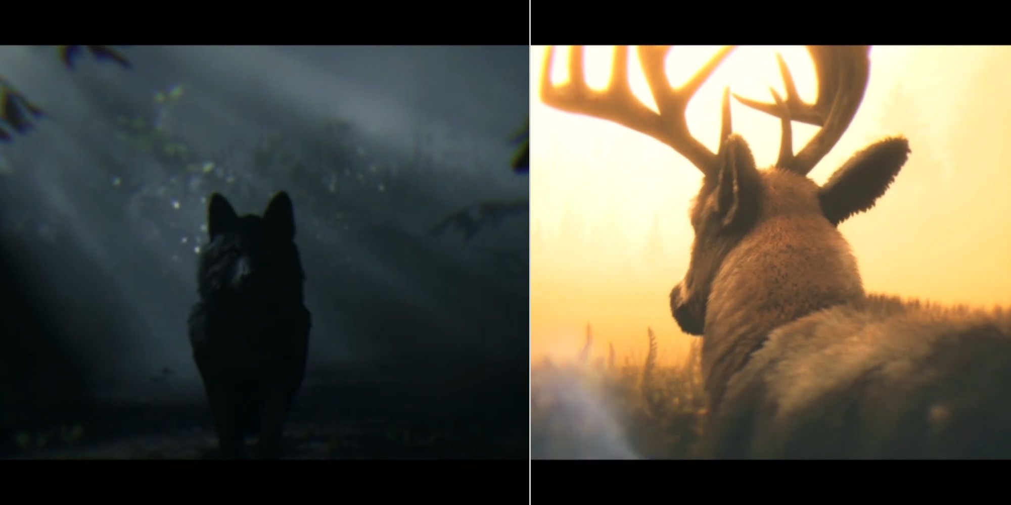 Arthur's Spirit Animals (Coyote left side) and (Buck right side)
