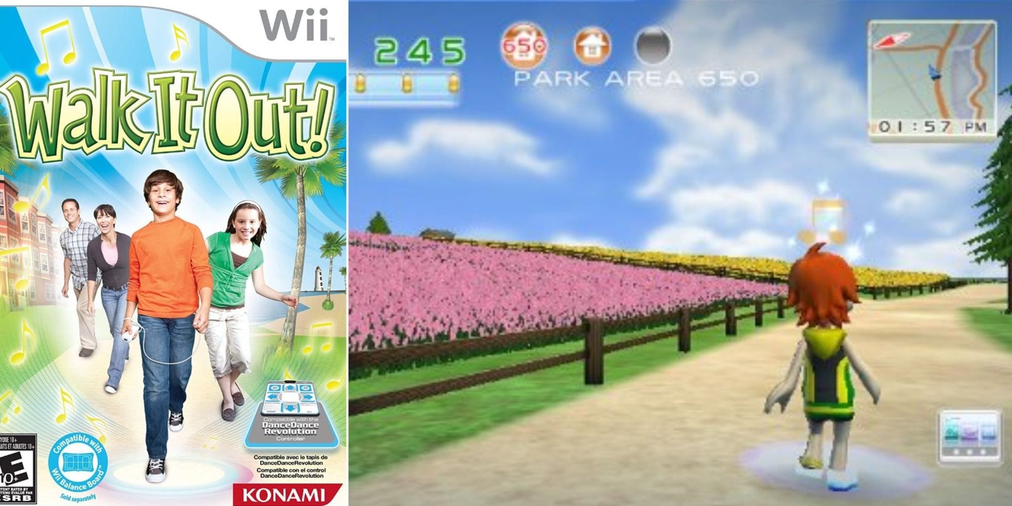 A split-image of the cover of the Wii game Walk It Out side-by-side of your character walking along a meadow trail with purple flowers along the side.