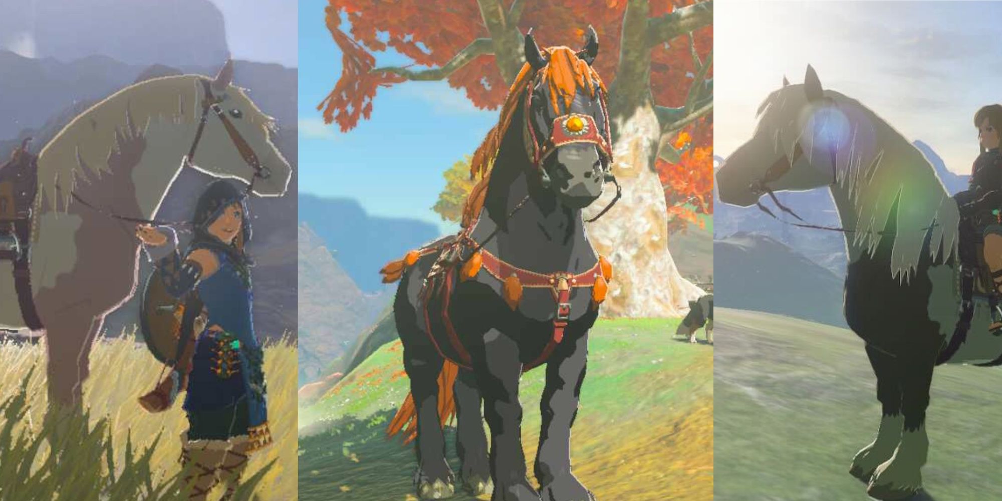 Tears of the Kingdom save w/ special horses [The Legend of Zelda