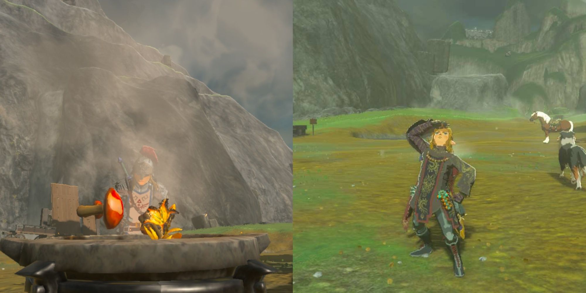 The Legend of Zelda: Tears of the Kingdom - Link cooks and poses with the Depths Tunic