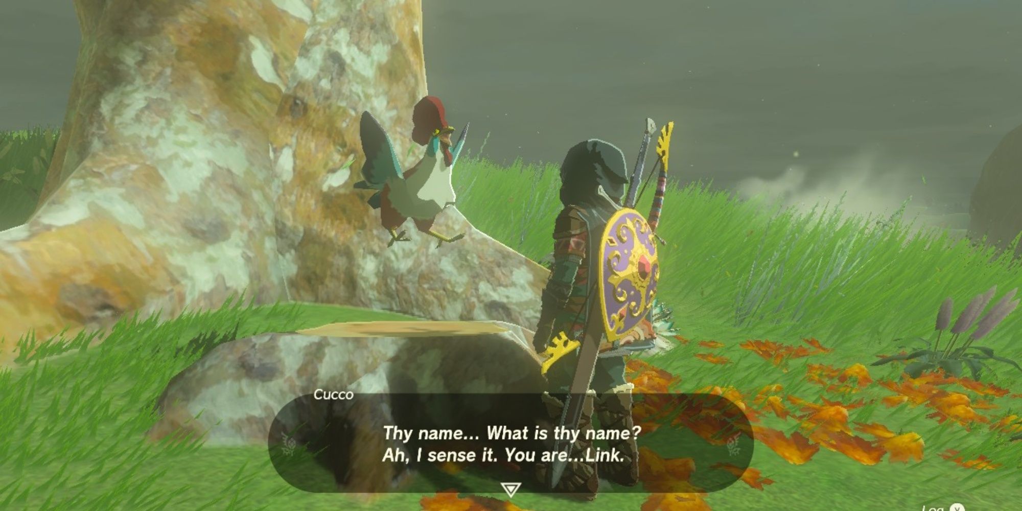 Cucco speaking to Link in Tears of the Kingdom