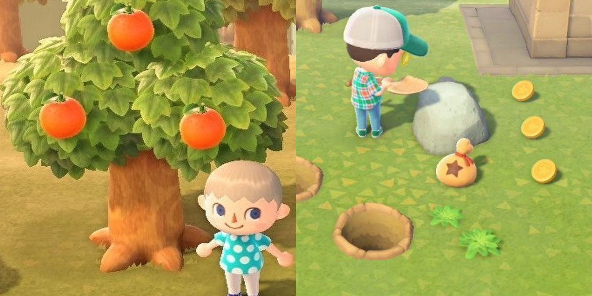 Split image of an Animal Crossing New Hozions player in front of an orange tree and hitting a money rock.