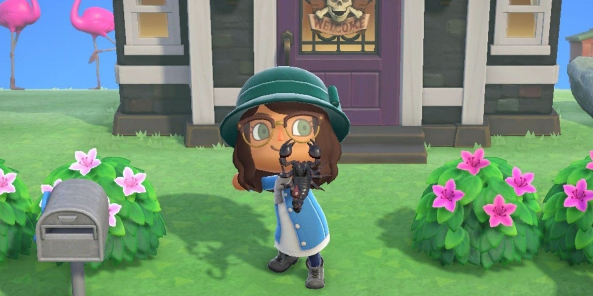 Player showing off a scorpion in Animal Crossing: New Horizons.