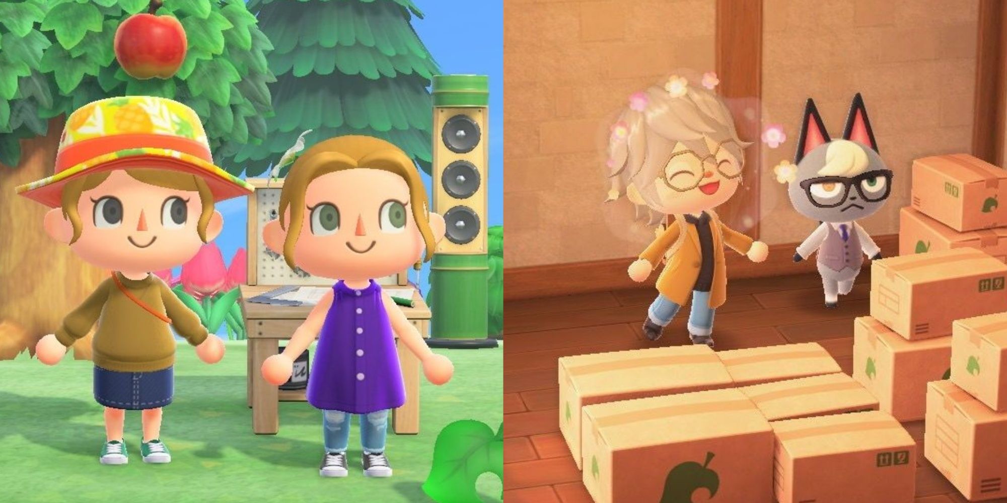 Split images of two ACNH players and a player next to Raymond in boxes in Animal Crossing New Horizons.