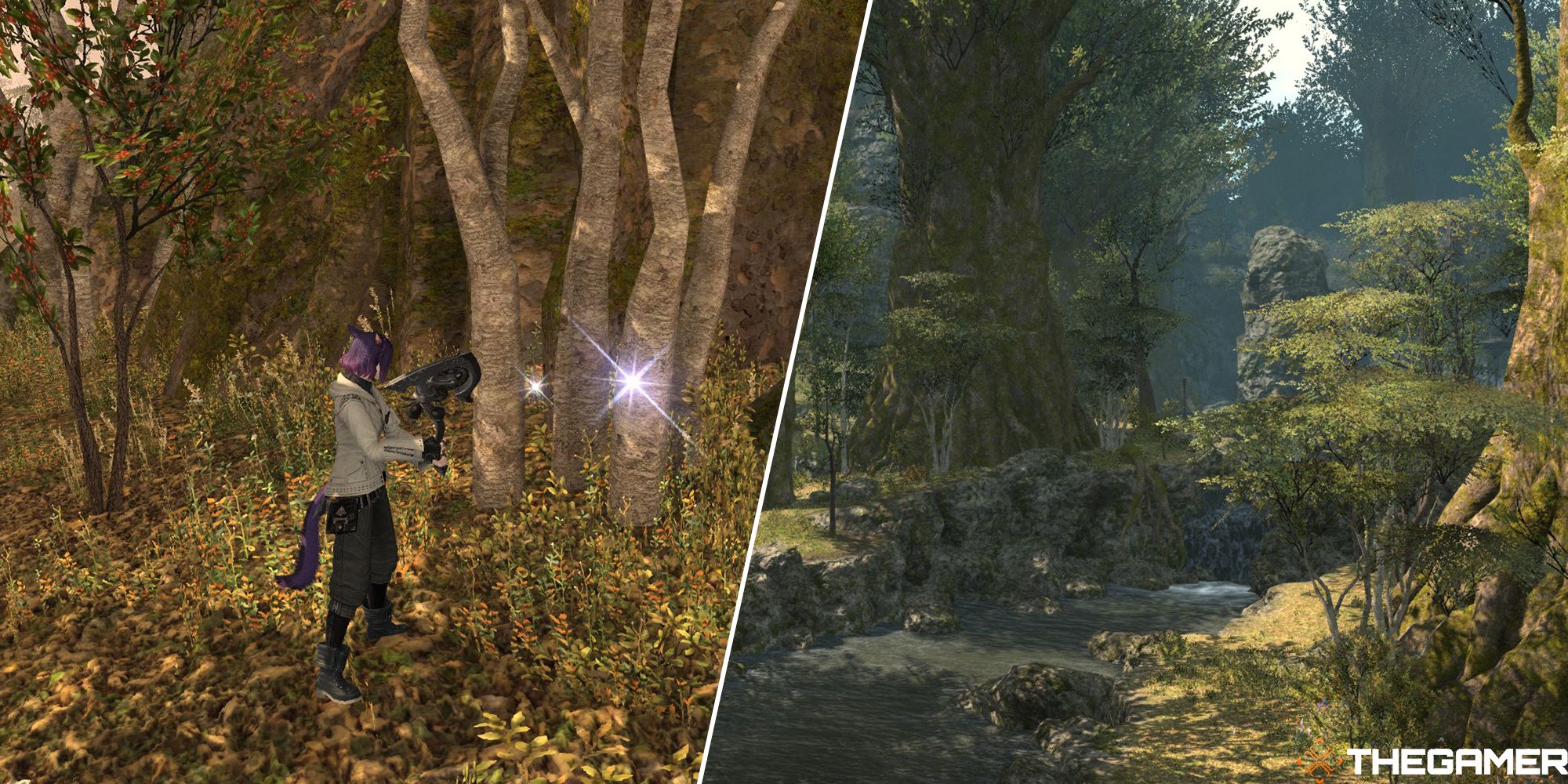 botanist chopping down a tree and central shroud forests split image