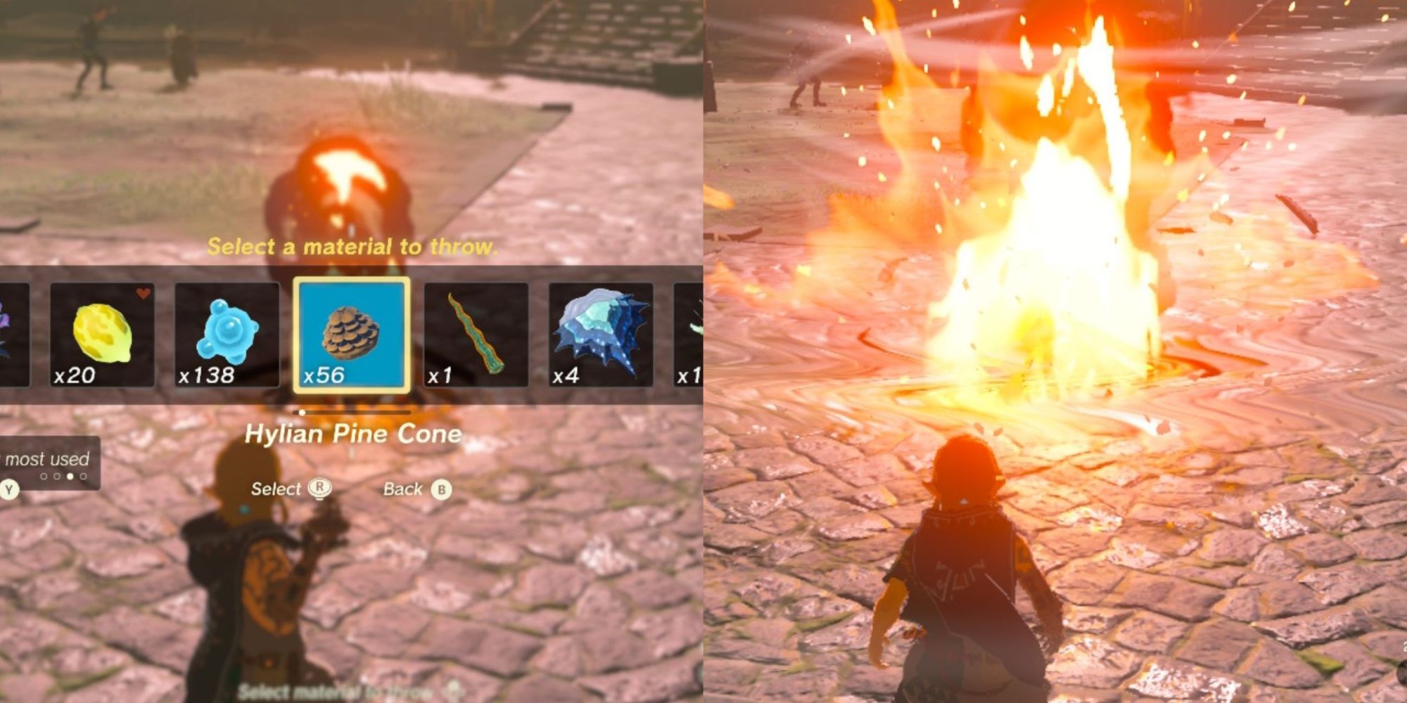 Item menu and link toss pine cone split image