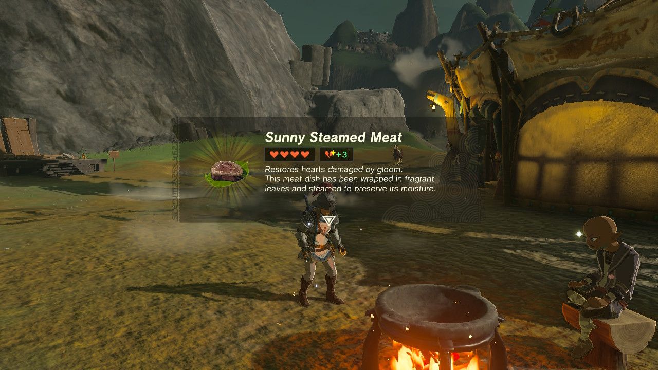 The Legend of Zelda: Tears of the Kingdom - Link uses Sundelion to cook Sunny meals