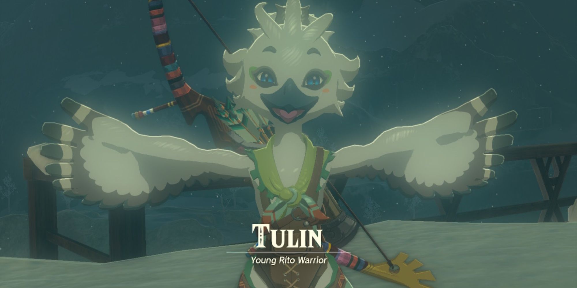 Tulin spreads his wings with title card below in The Legend Of Zelda: Tears of the Kingdom.
