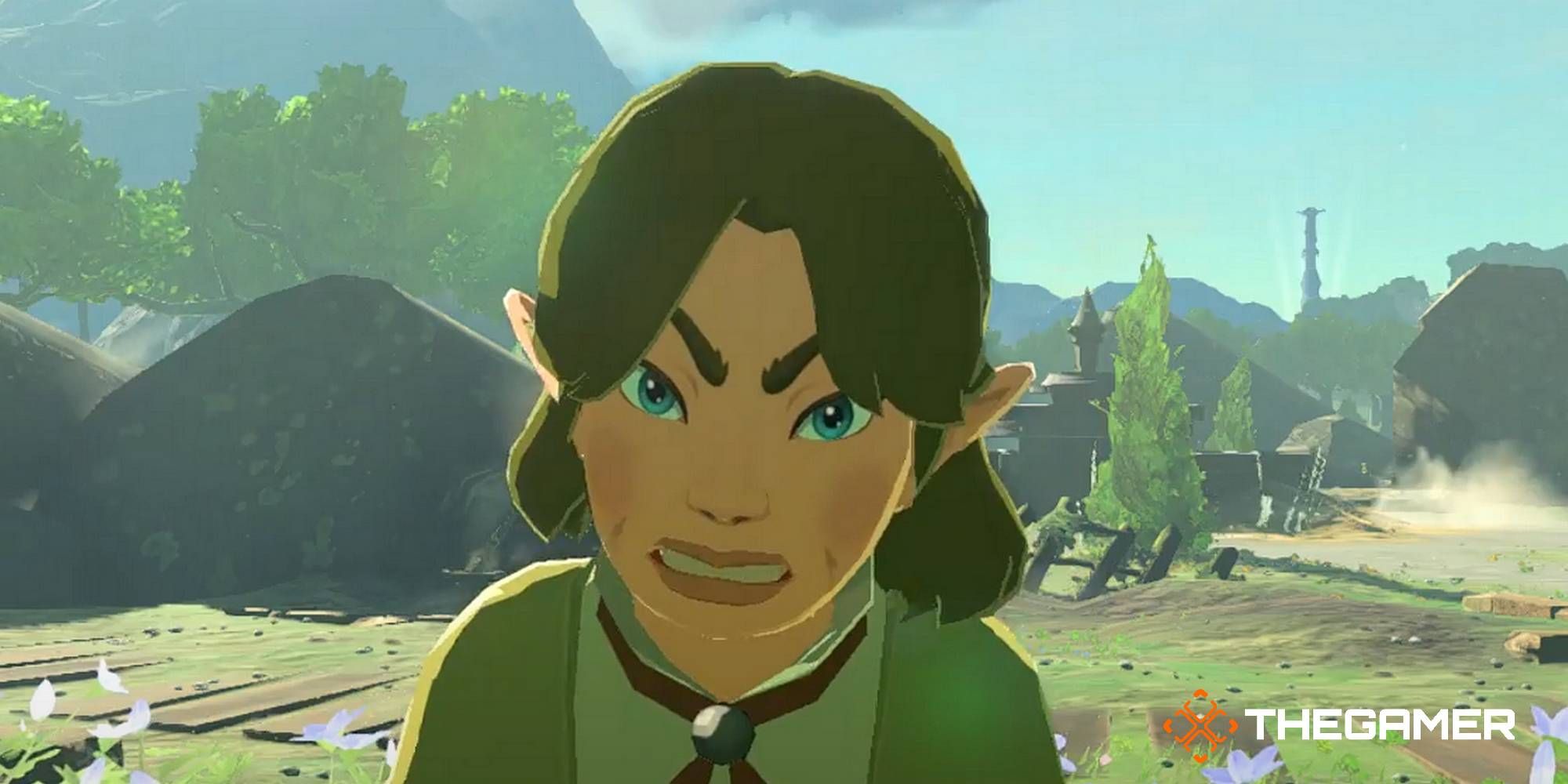 Princess Zelda Kidnapped?! side adventure in Zelda: TotK - Polygon