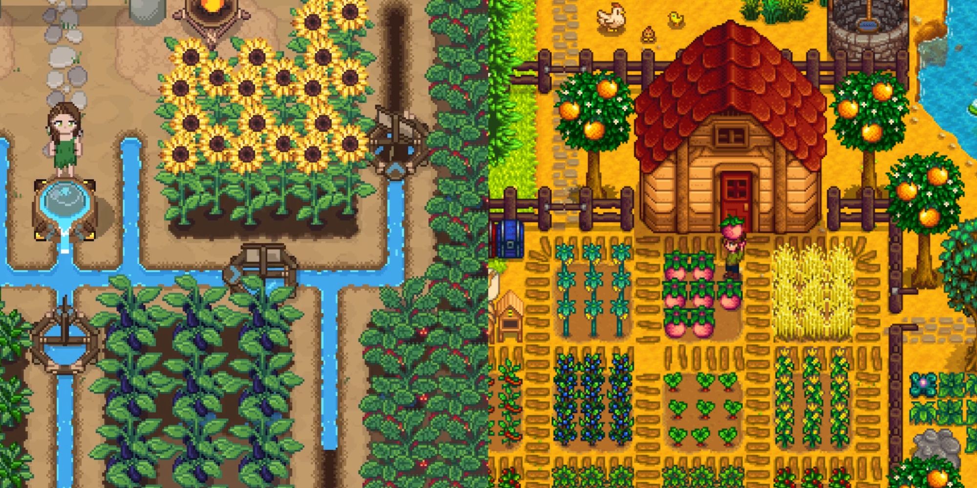 Roots Of Pacha farm and Stardew Valley farm