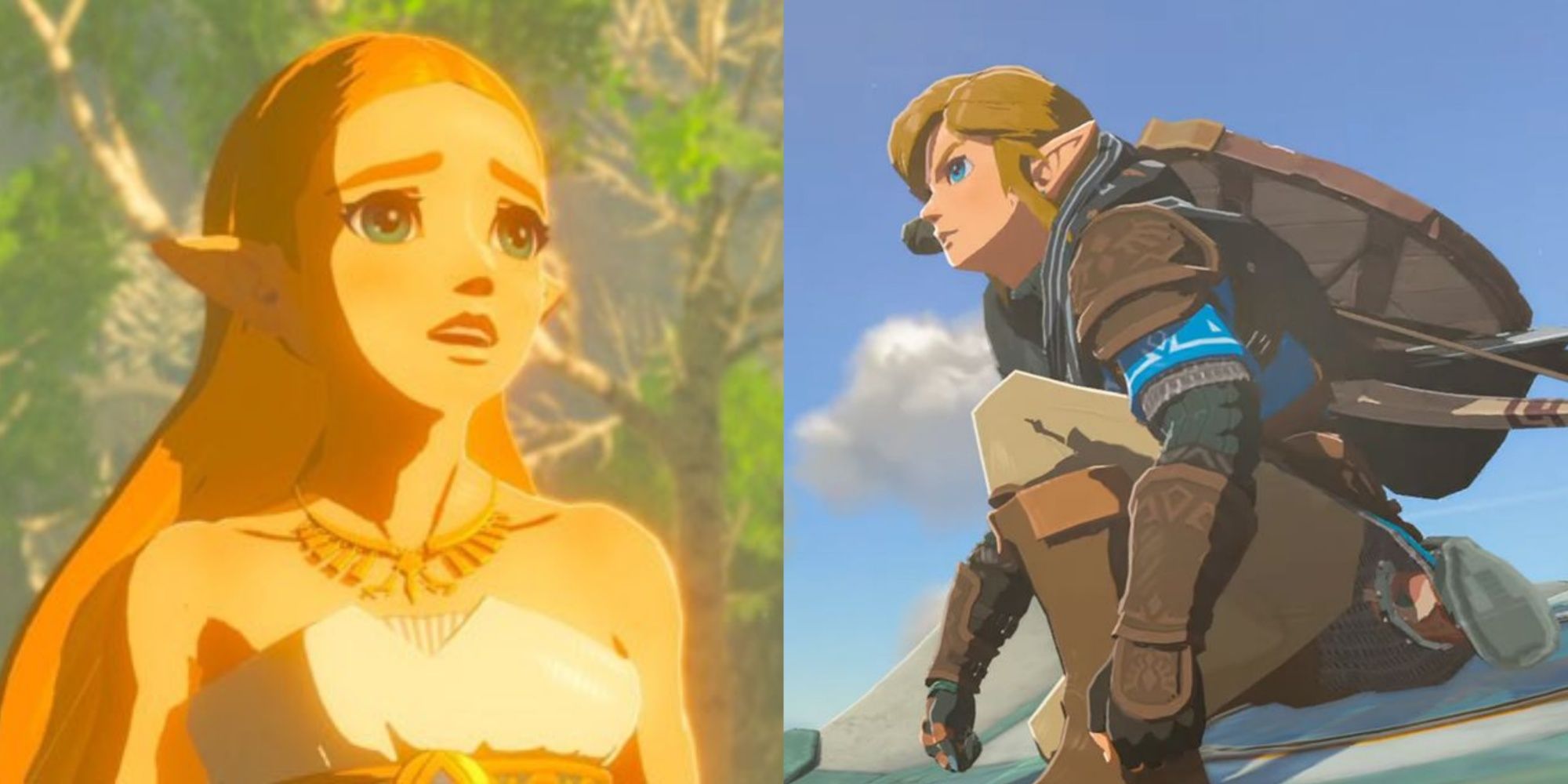 Why do people think the main character in Zelda is named Link, when his  name is actually Zelda? - Quora