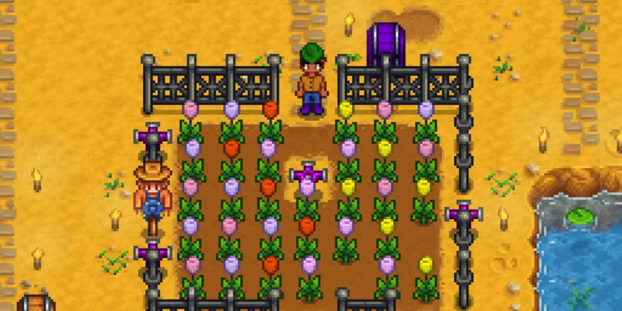 Stardew Valley player in front of a tulip field