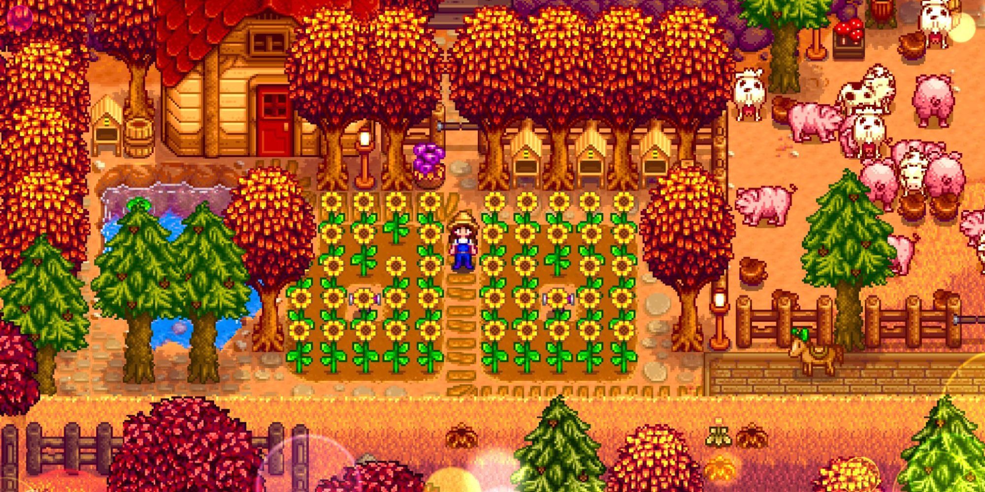 Sonnenblumen auf einer Farm im Stardew Valley im Herbst