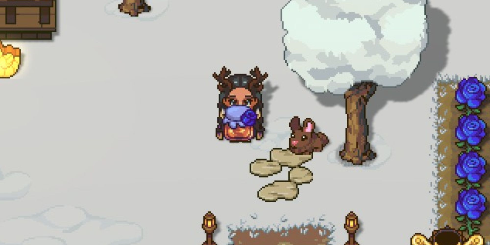 sun haven player holding blue honey with brown pet bunny next to them