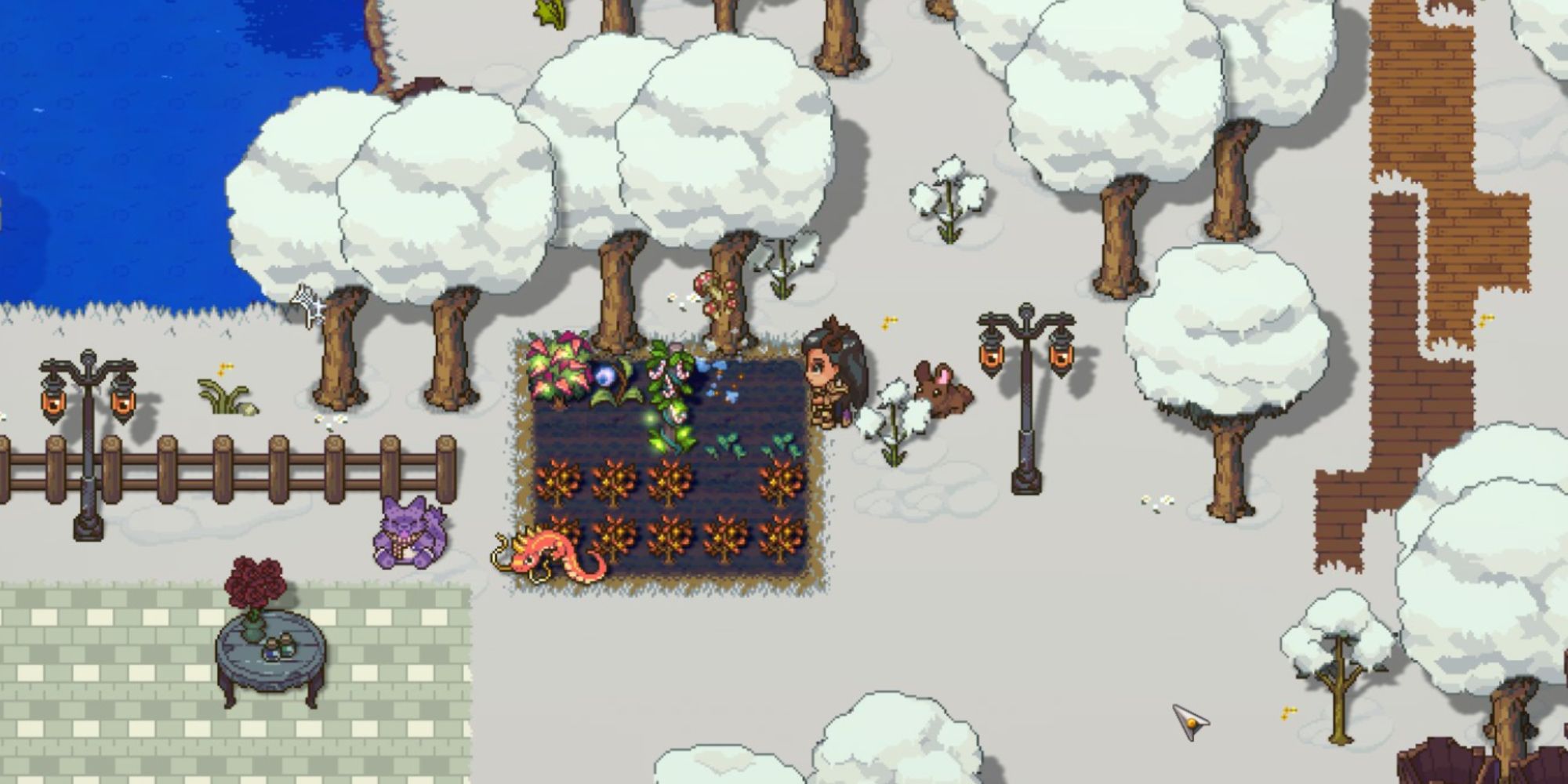 sun haven player planting crops in winter