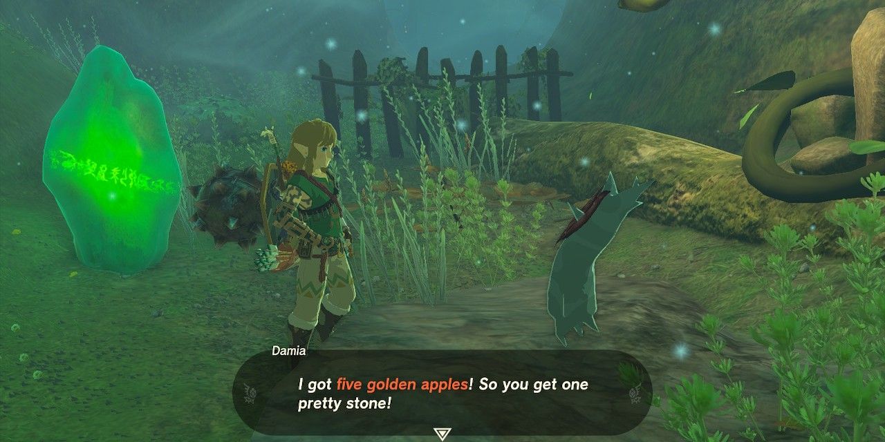 Zelda Tears Of The Kingdom Capture D'Écran De Link Debout À Côté D'Un Cristal Vert Et Parlant À Un Korok Nommé Damia, Qui Dit 