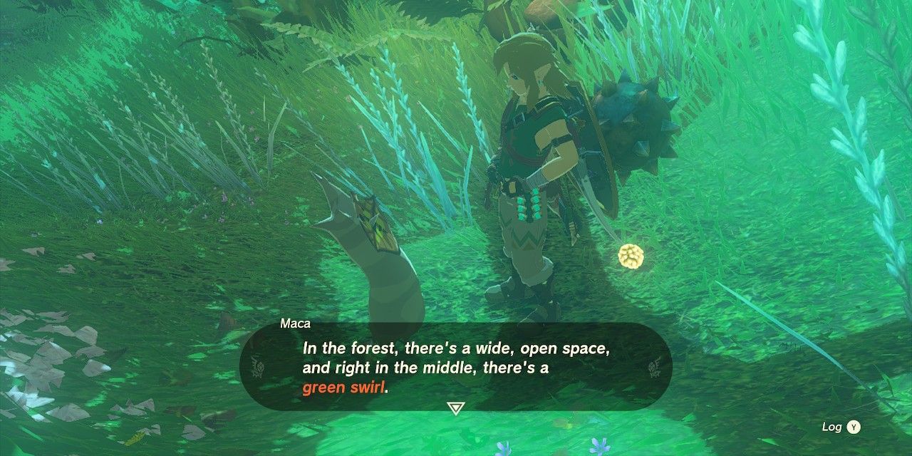 Zelda Tears Of The Kingdom Capture D'Écran De Link Parlant À Un Korok Nommé Maca, Qui Dit 