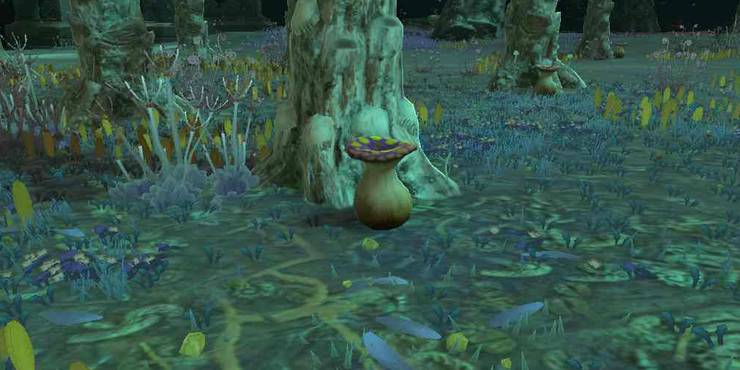 Mushrooms