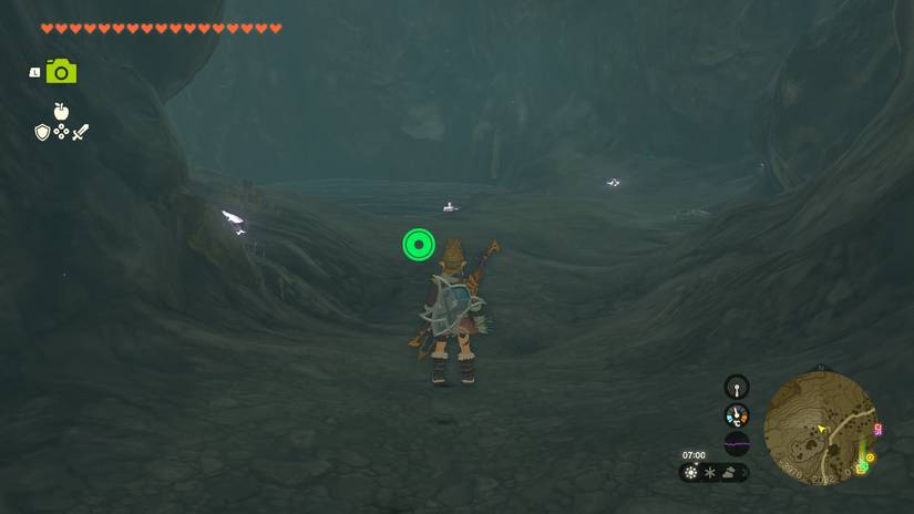 How to Complete the Bird in the Mountains: Ultimate Step-by-Step Guide