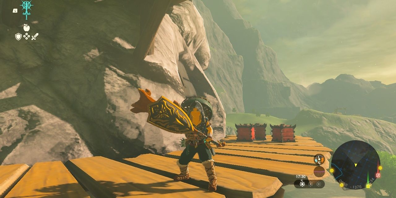 A link with a shield attached to a strong stick
