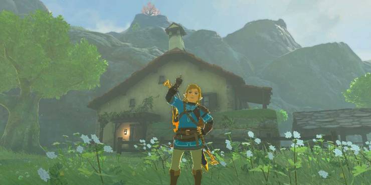 Link’s House