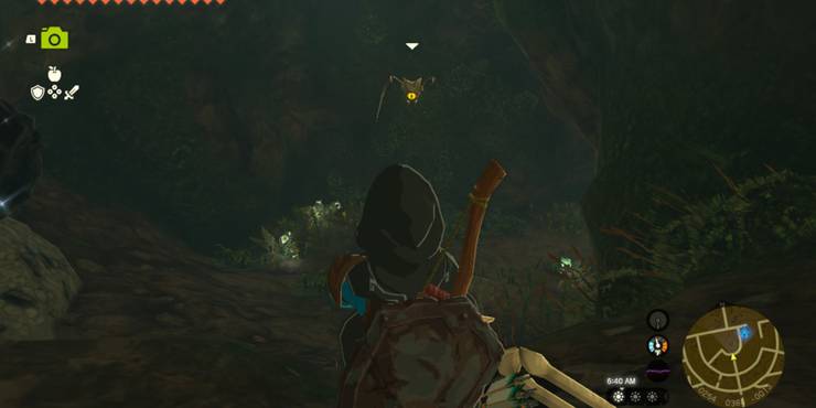 the-legend-of-zelda-tears-of-the-kingdom-keese-flying-toward-link-in-a-cave.jpg (740×370)