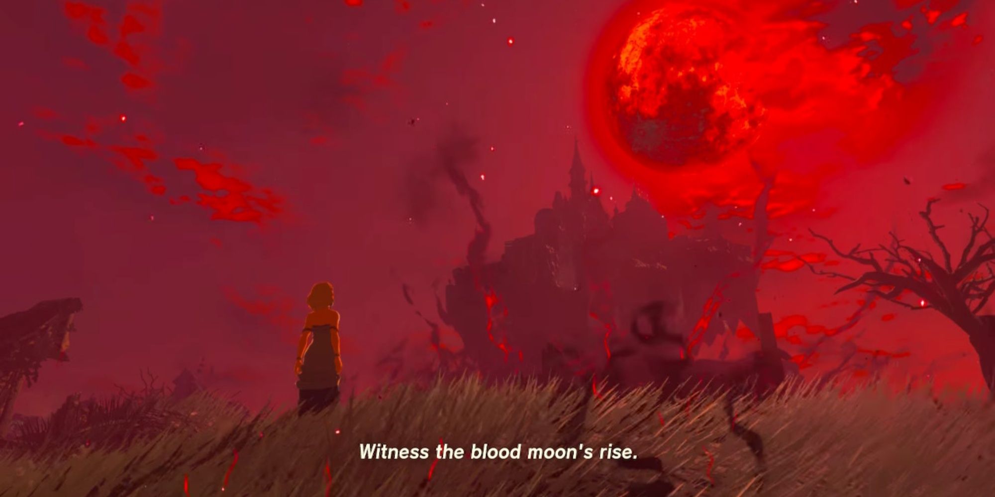 The Legend of Zelda Tears of the Kingdom, The Blood Moon rises while Zelda watches below