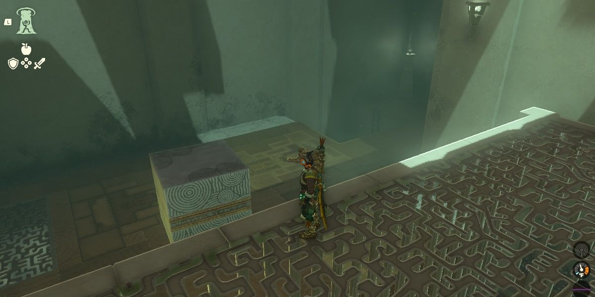 Link standing on a cage in Turakawak Shrine Room 2 in The Legend Of Zelda: Tears of the Kingdom.