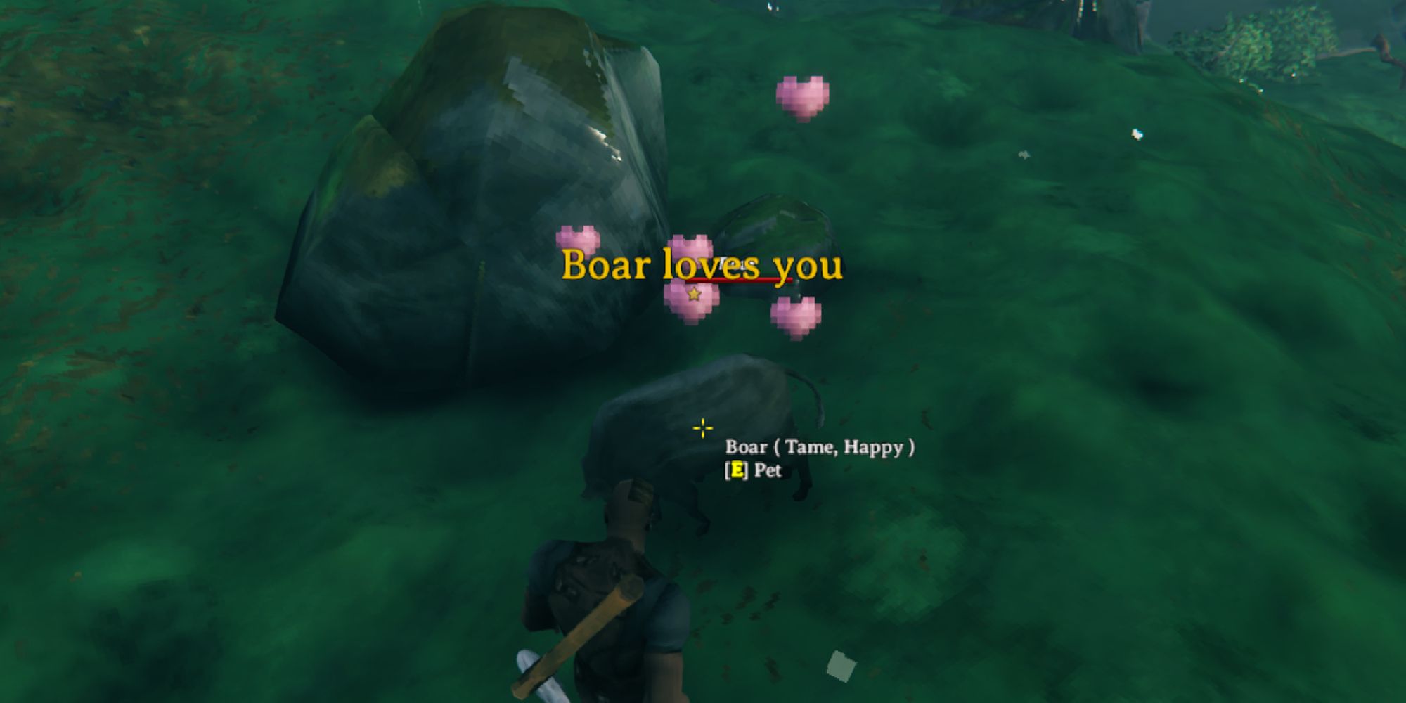 valheim boar loves you message message shown while hoving over boar