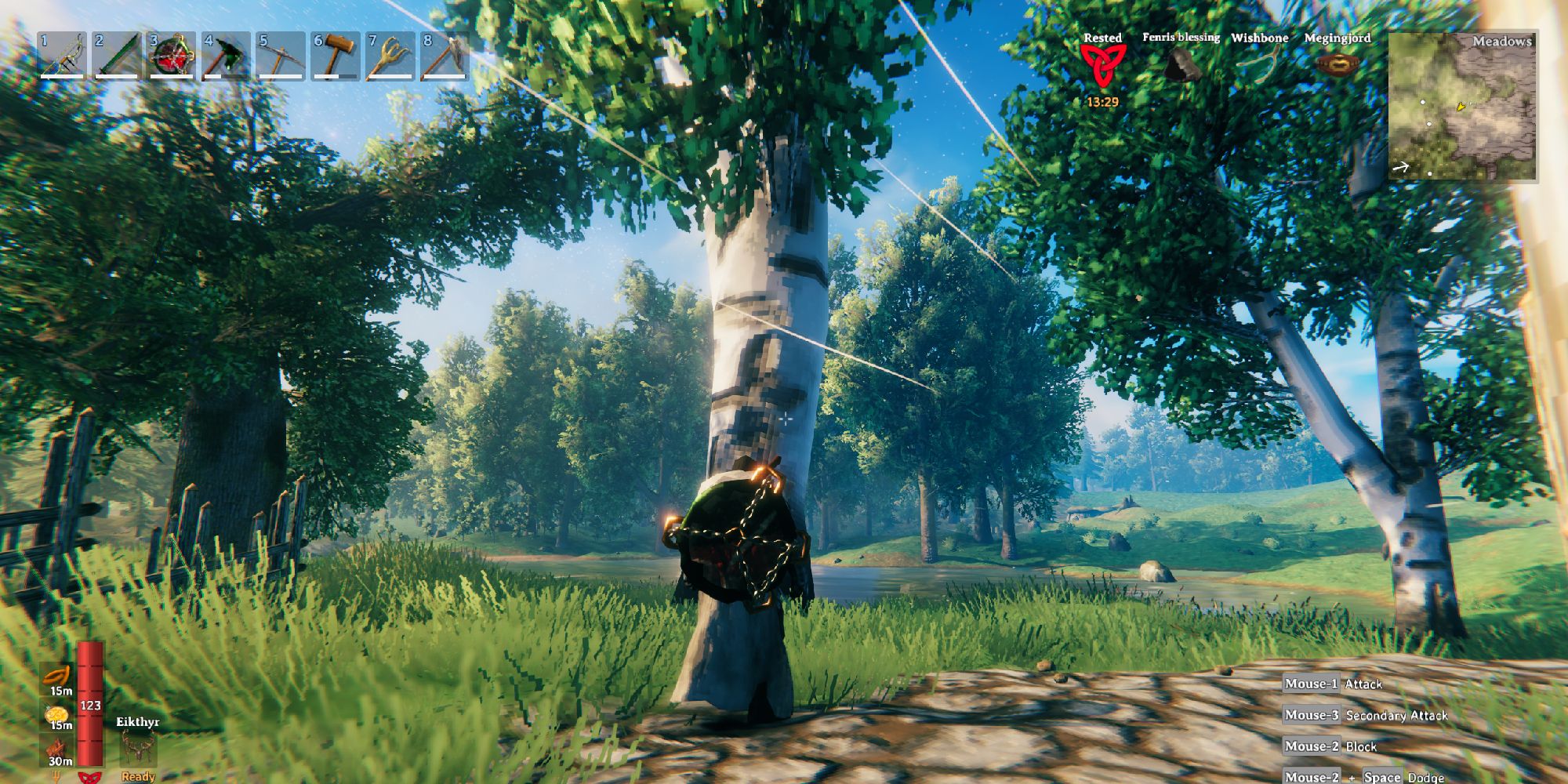 valheim player looking at a birch tree in the meadows biome