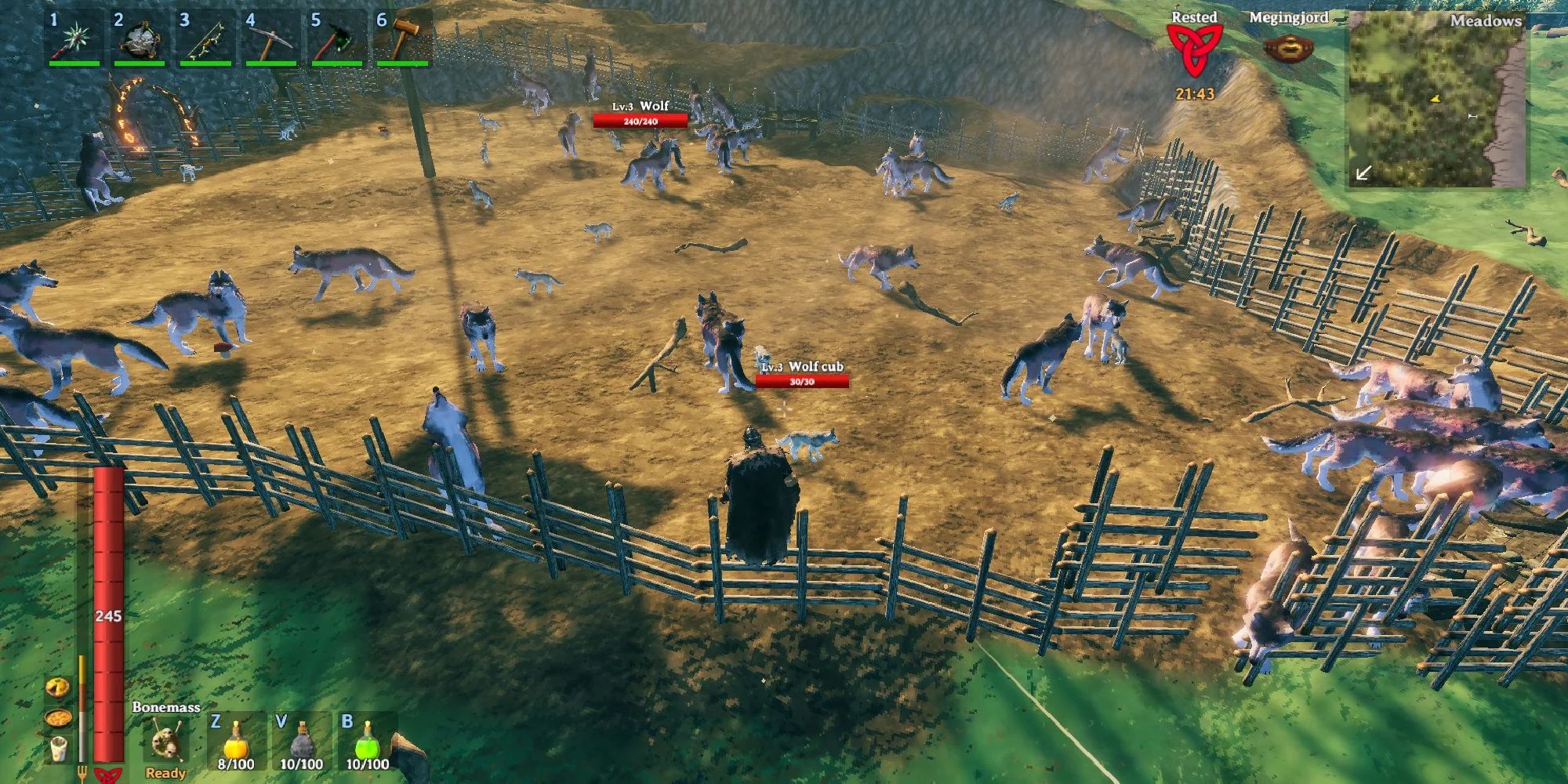 wolf pen filled with wolves, as player looking out to land