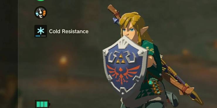 Hylian Shield