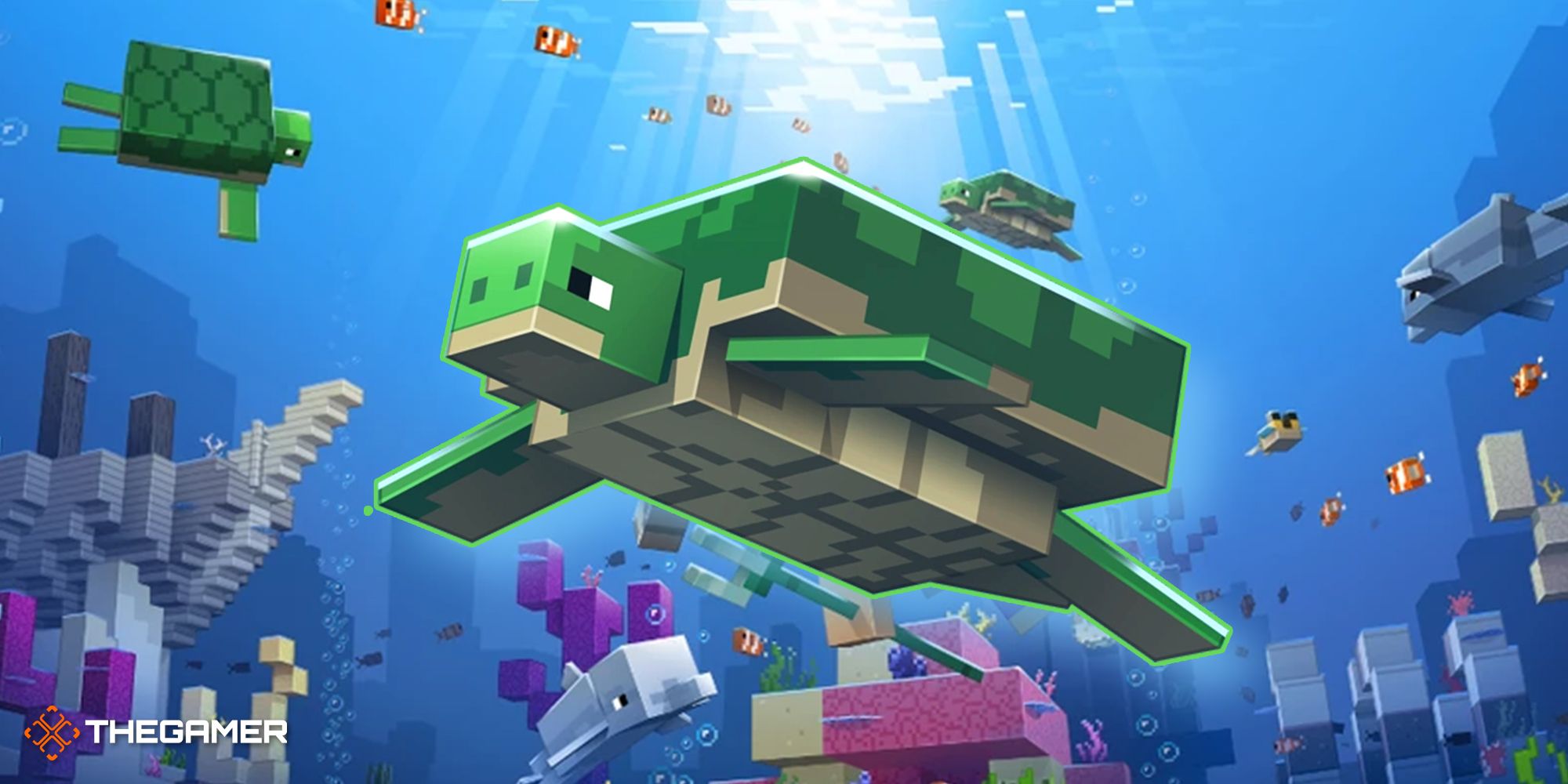 12 Minecraft Everything You Need To Know About Turtles 