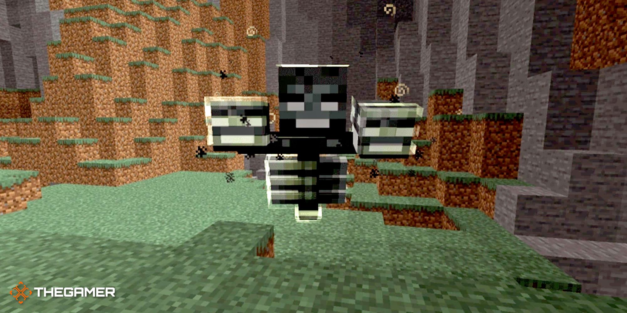 Wither effect Minecraft Skins