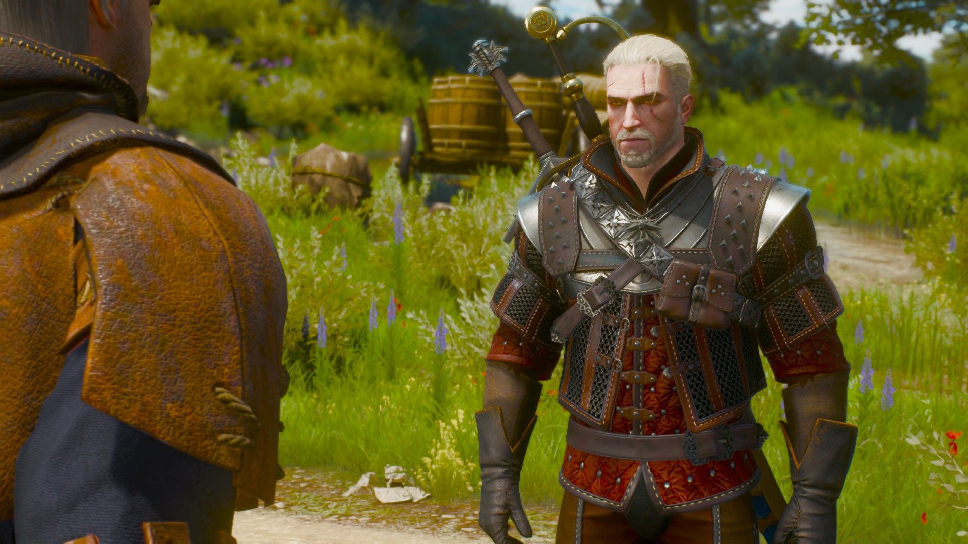 A screenshot of Geralt standing talking to a merchant in the hills of Toussaint.