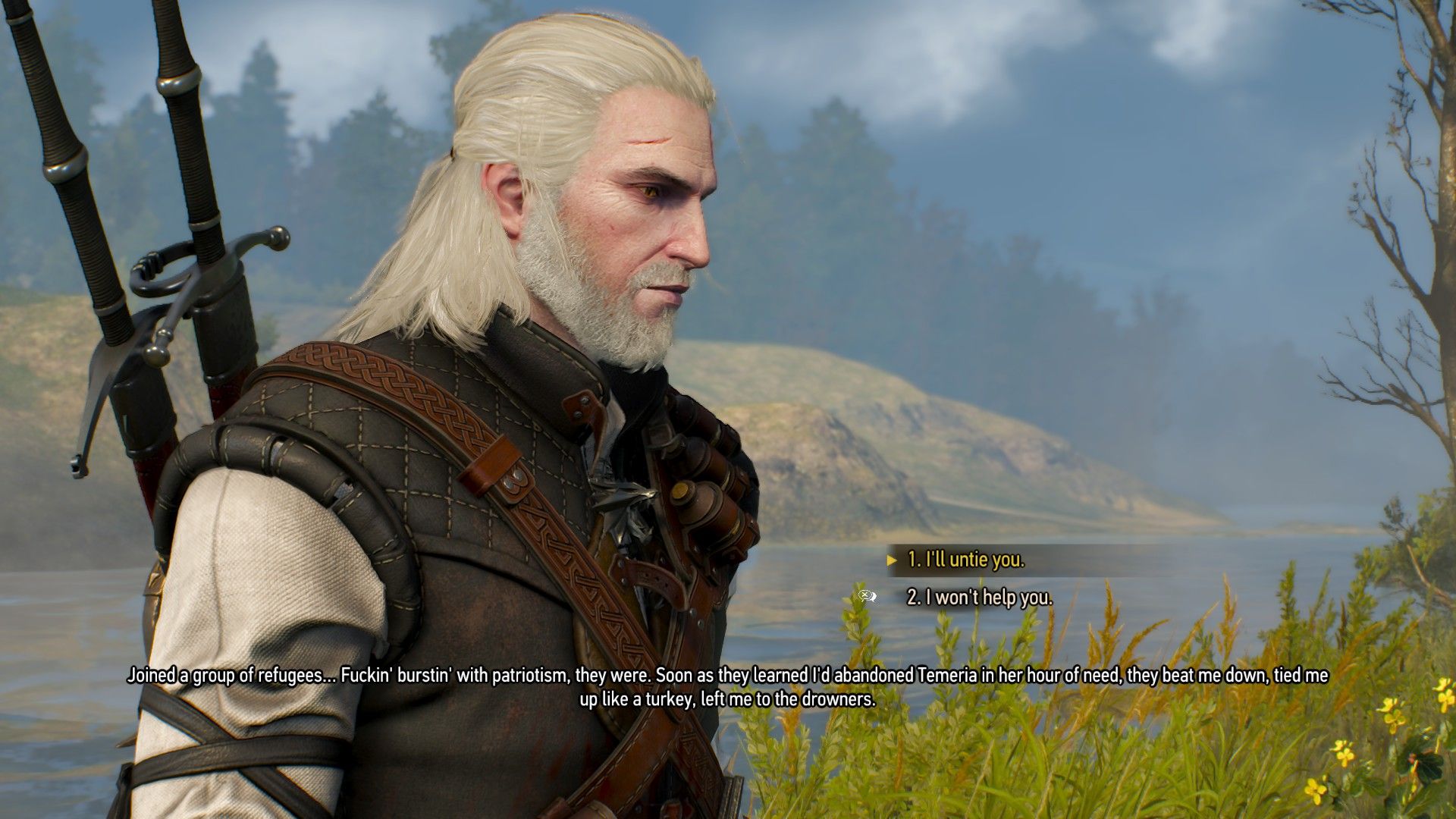 A screenshot of two dialogue options in The Witcher 3, essential to a quest.