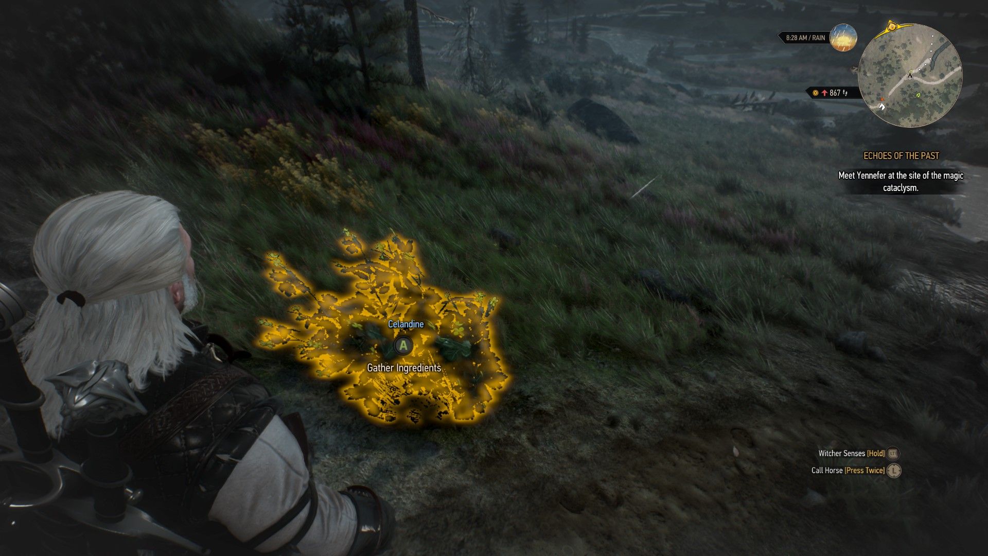 A screenshot of Geralt standing next to a celandine plant south of the quest objective.