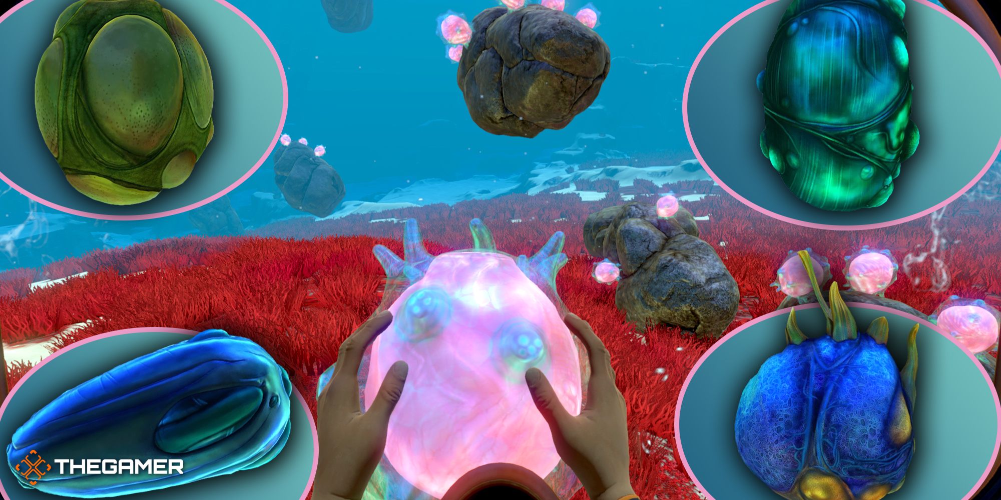 Subnautica eggs store