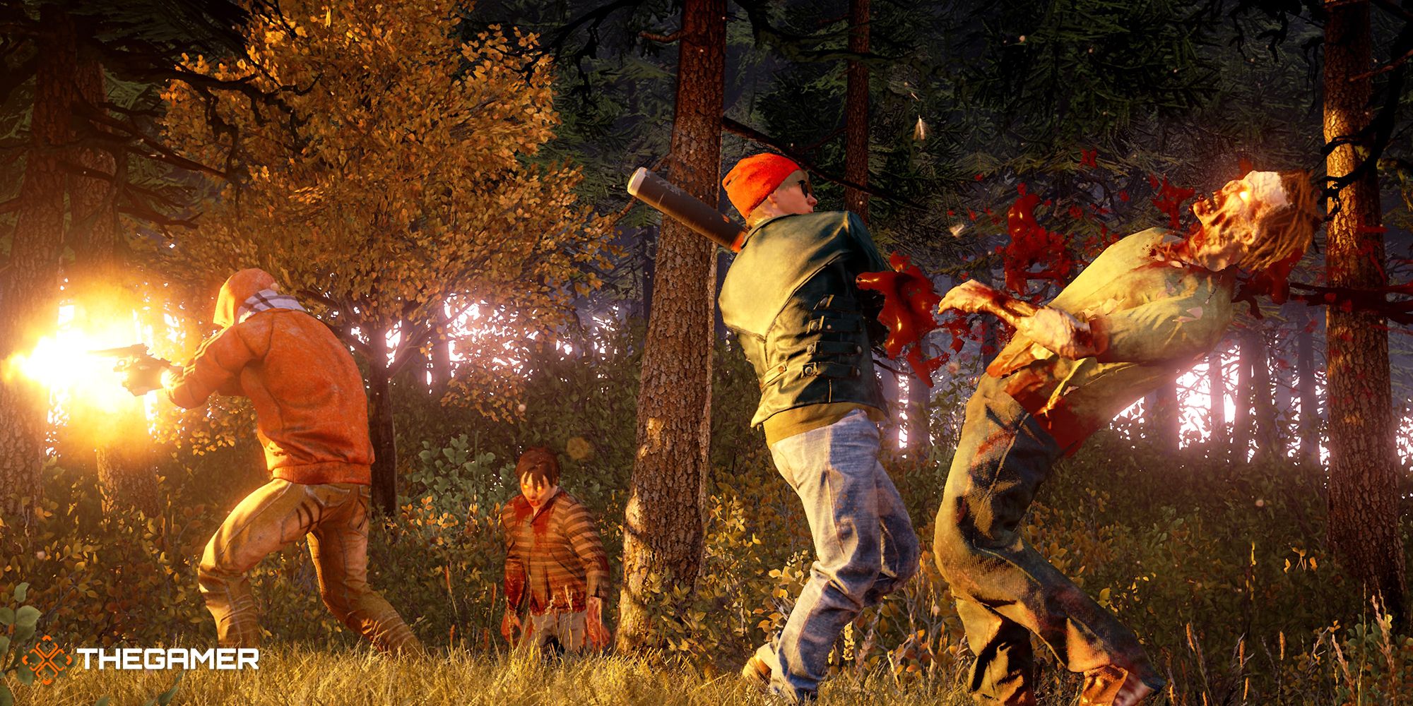  State of Decay 2 : Microsoft Corporation: Everything Else