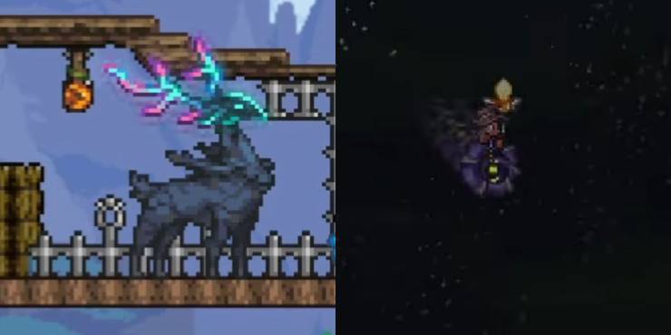 7-mounts-traveling-with-style.jpg (740×370)