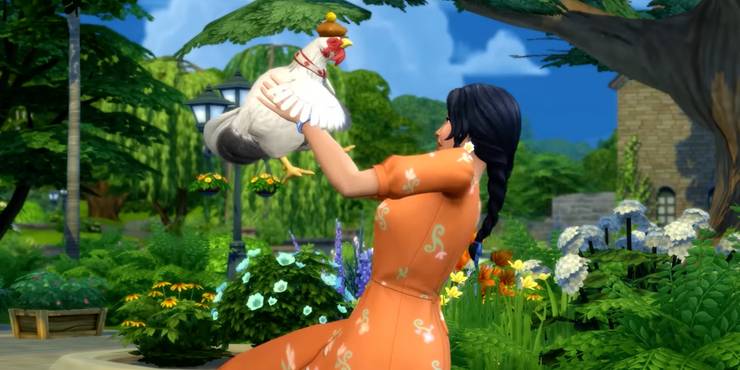 Death By Killer Chicken