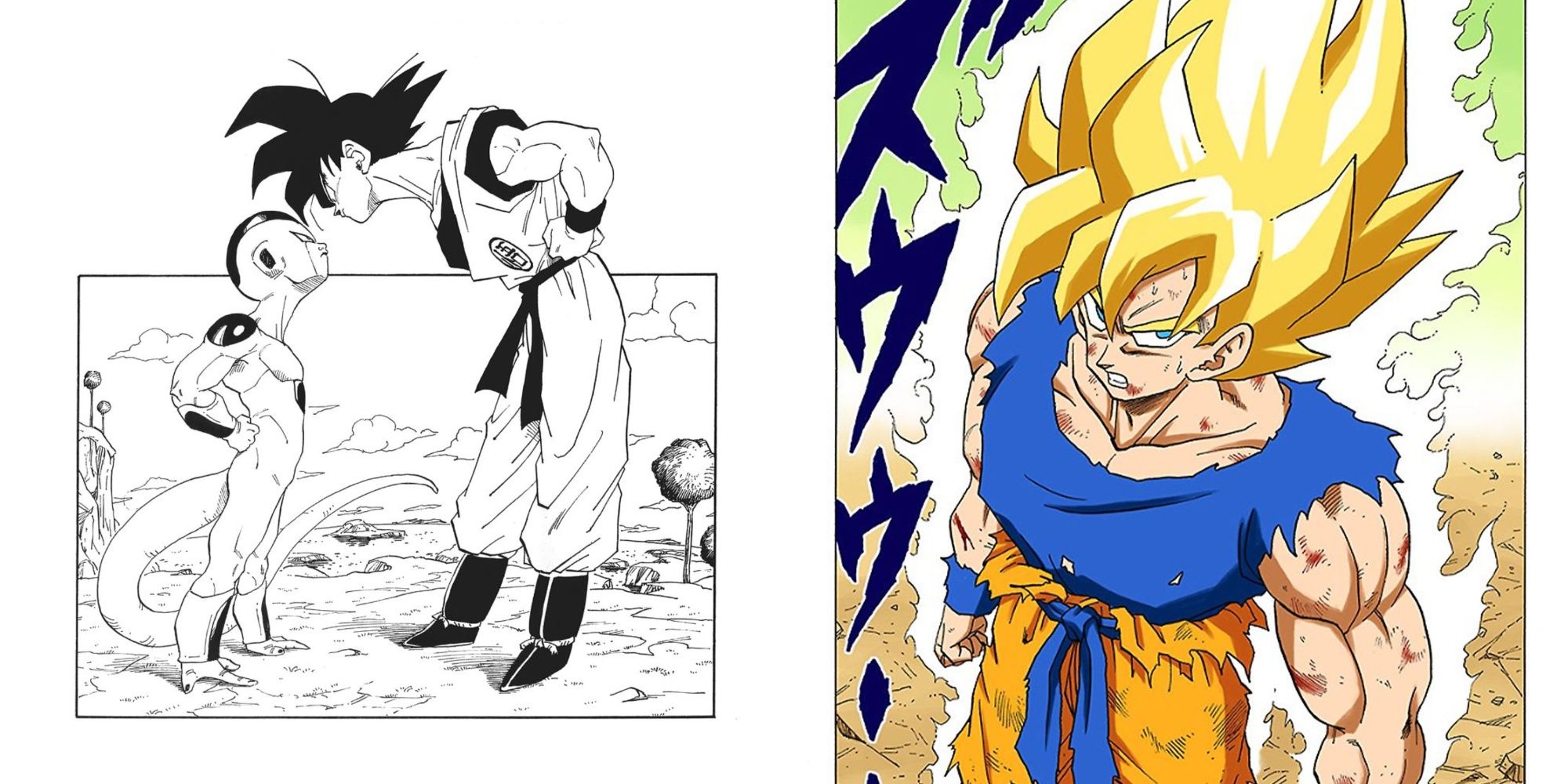 SSJ1 Goku (Namek Saga) VS SSJ1 Future Trunks (Trunks Saga