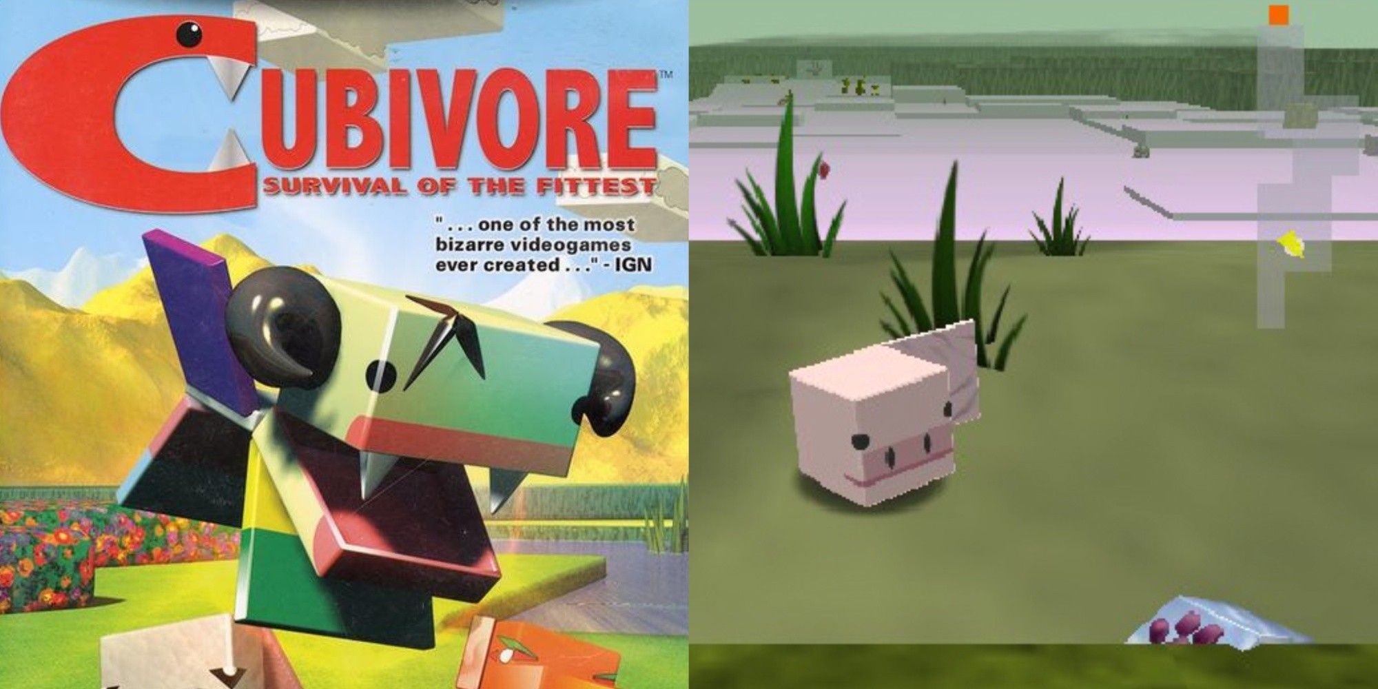 cubivore survival of the fittest rarest gamecube games
