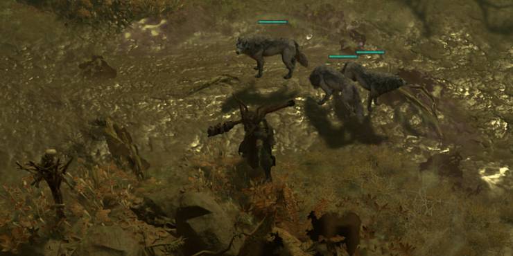 diablo-4-druid-companion-skills-three-wolves-and-poison-creeper-activated-at-the-same-time.jpg (740×370)