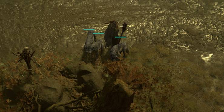 diablo-4-druid-companion-skills-three-wolves.jpg (740×370)