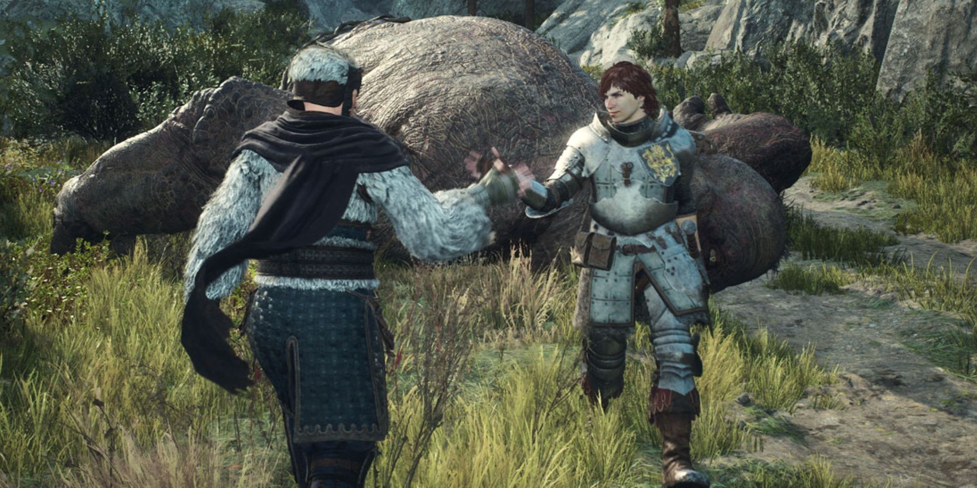 Does Dragon's Dogma 2 have online co-op?