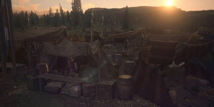 The Setting
